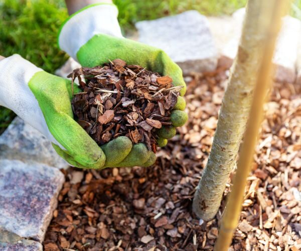 Mulching